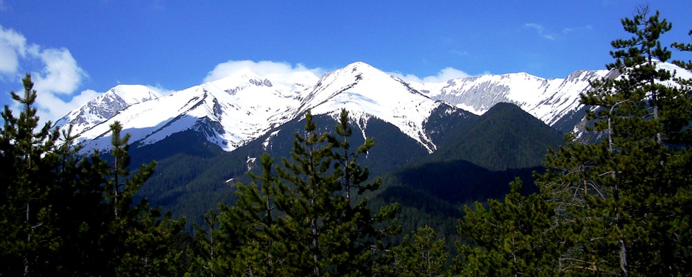 Bansko